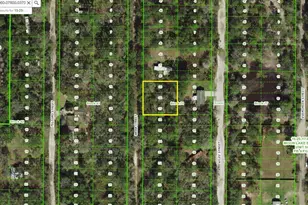 Webb, New Port Richey, FL 34654 - Photo 1