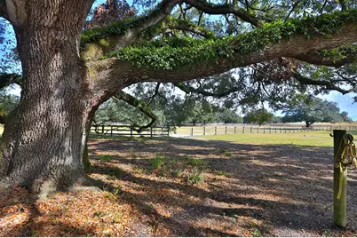 2756 County Road 204, Oxford, FL 34484 - Photo 26