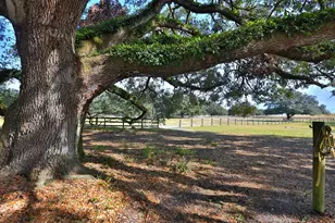 2756 Co Rd 204, Oxford, FL 34484 - Photo 26