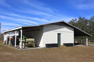 2756 Co Rd 204, Oxford, FL 34484 - Photo 32