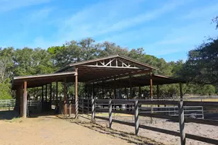 2756 Co Rd 204, Oxford, FL 34484 - Photo 36