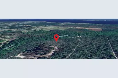 Tbd NE 4th Street, Palatka, FL 32177 - Photo 1