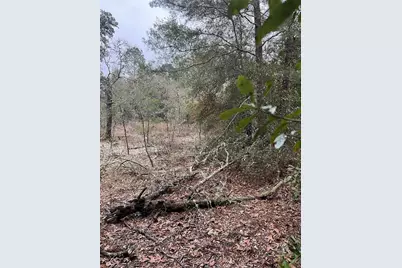 Lot 36 SW Monines Court, Dunnellon, FL 34431 - Photo 6