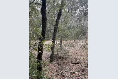 Lot 36 SW Monines Court, Dunnellon, FL 34431 - Photo 4