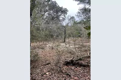 Lot 36 SW Monines Court, Dunnellon, FL 34431 - Photo 4
