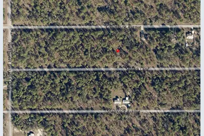 Lot 57 NW Skylark Street, Dunnellon, FL 34431 - Photo 6