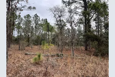 Lot 57 NW Skylark Street, Dunnellon, FL 34431 - Photo 2