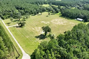 NW 116th Ct, Reddick, FL 32686 - Photo 1