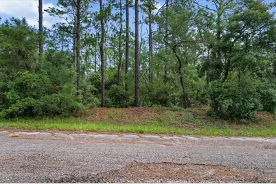 3621 W Norwick Place, Citrus Springs, FL 34433 - Photo 6