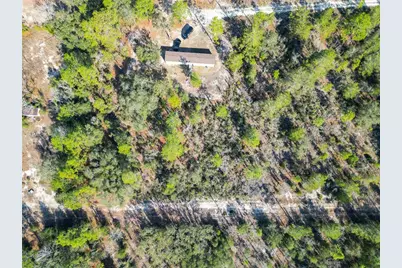 Tbd NE 58th St, Bronson, FL 32621 - Photo 12