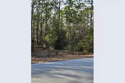 Sw Admiral Landing Dr., Dunnellon, FL 34431 - Photo 2