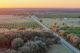 6255 Mercantile Ln, Fort Meade, FL 33841 - Photo 32