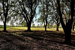 6255 Mercantile Ln, Fort Meade, FL 33841 - Photo 18