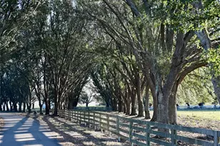 6255 Mercantile Ln, Fort Meade, FL 33841 - Photo 14