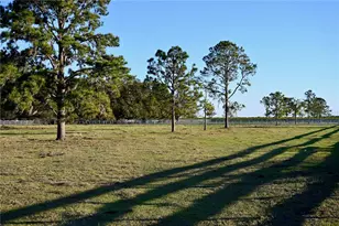 6255 Mercantile Ln, Fort Meade, FL 33841 - Photo 8