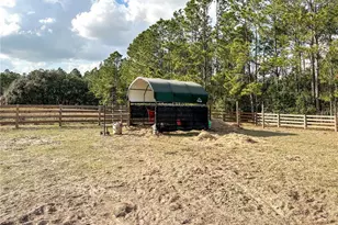 7045 Greengrove Blvd, Clermont, FL 34714 - Photo 24