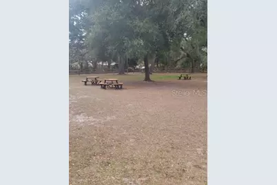 19100 SE 95th Street, Ocklawaha, FL 32179 - Photo 6