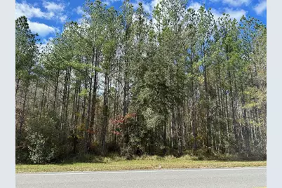 Tbd NE Ne Hwy 315, Fort Mc Coy, FL 32134 - Photo 2