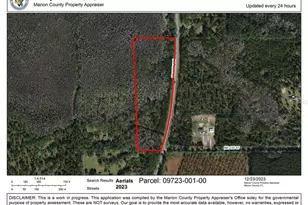 Tbd NE Ne Hwy 315, Fort Mc Coy, FL 32134 - Photo 1