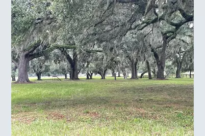 1851 SE 185 Avenue, Williston, FL 32696 - Photo 2