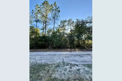 105 Longtree Street, Georgetown, FL 32139 - Photo 6