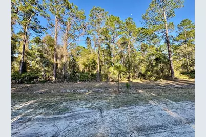 105 Longtree Street, Georgetown, FL 32139 - Photo 10