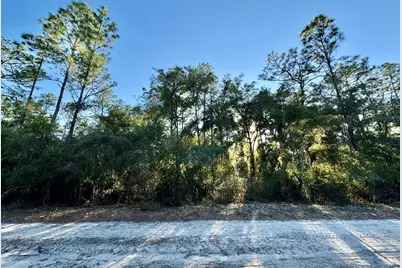 105 Longtree Street, Georgetown, FL 32139 - Photo 1