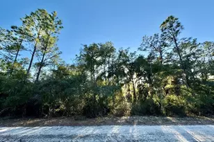 105 Longtree St, Georgetown, FL 32139 - Photo 1