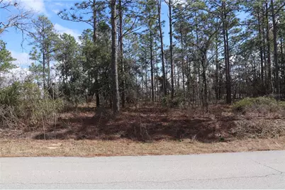 2251 NW Buena Vista Road, Dunnellon, FL 34431 - Photo 2