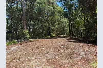 Tbd NE 115 Avenue, Fort Mc Coy, FL 32134 - Photo 1