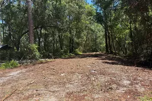 Tbd NE 115 Ave, Fort Mc Coy, FL 32134 - Photo 1