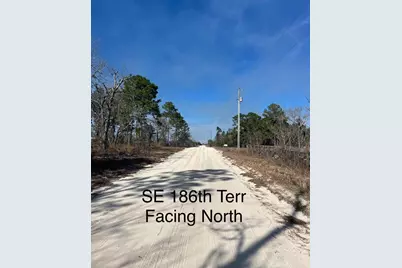 Tbd SE 185 Terrace, Morriston, FL 32668 - Photo 2