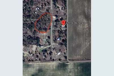 Tbd SE 186 Terrace, Morriston, FL 32668 - Photo 4