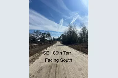 Tbd SE 186 Terrace, Morriston, FL 32668 - Photo 2