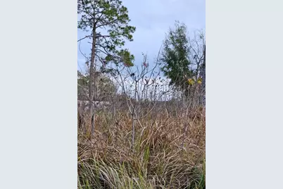 Tbd SE 104th Terrace, Belleview, FL 34420 - Photo 1