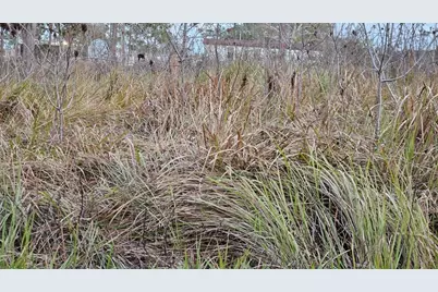 Tbd SE 104th Terrace, Belleview, FL 34420 - Photo 2