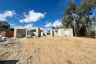 15864 SE 98th Terrace, Summerfield, FL 34491 - Photo 2