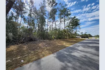 Tbd SW 32 Circle, Ocala, FL 34473 - Photo 6