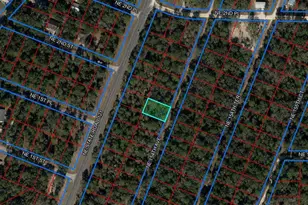 Tbd NE 154th Ave, Williston, FL 32696 - Photo 1