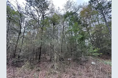 Tbd NE 154th Avenue, Williston, FL 32696 - Photo 2