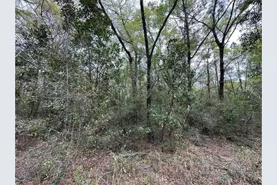 Tbd NE 154th Avenue, Williston, FL 32696 - Photo 4