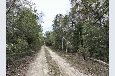 Tbd NE 154th Terrace, Williston, FL 32696 - Photo 2