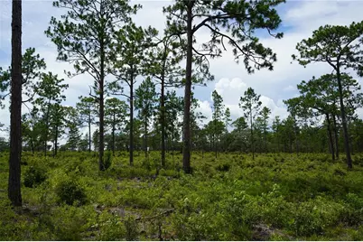 Se State Road 121 Lot C & D, Morriston, FL 32668 - Photo 14