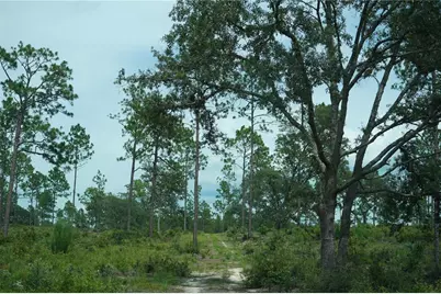Se State Road 121 Lot C & D, Morriston, FL 32668 - Photo 12