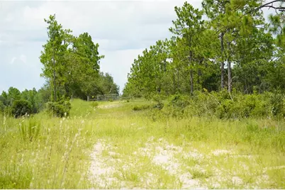 Se State Road 121 Lot C & D, Morriston, FL 32668 - Photo 4