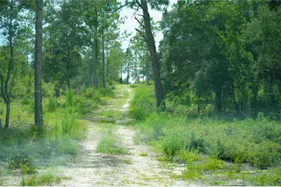 Se State Road 121 Lot C & D, Morriston, FL 32668 - Photo 20
