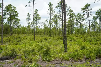 Se State Road 121 Lot C & D, Morriston, FL 32668 - Photo 18