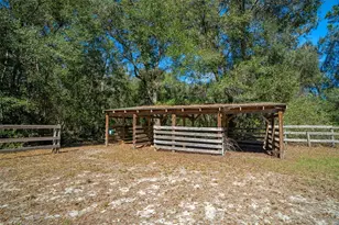 18434 SE 24th St, Silver Springs, FL 34488 - Photo 28