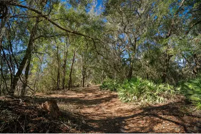 18434 SE 24th Street, Silver Springs, FL 34488 - Photo 2