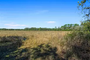 18434 SE 24th St, Silver Springs, FL 34488 - Photo 32